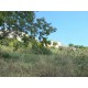 Properties for Sale_Farmhouse Il Mandorlo in Le Marche_6